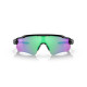 Oakley Radar EV Path Polished Black Prizm Golf Sunglass Oakley Radar EV Path Polished Black Prizm Golf Sunglass