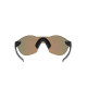 Oakley SubZero Carbon Fiber Prizm ruby Sunglass Oakley SubZero Carbon Fiber Prizm ruby Sunglass