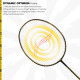 Li-Ning Turbo X70 G4 Badminton Racket