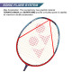 Yonex NanoFlare 700 Badminton Racket Yonex NanoFlare 700 Badminton Racket
