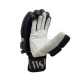 Whitedot Whiz Cricket Batting Gloves - For Beginner and Intermediate Players Whitedot Whiz Cricket Batting Gloves - For Beginner and Intermediate Players