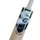 SG ROAR SPARK Kashmir Willow Cricket Bat