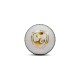SG Super Cricket Leather Ball - White