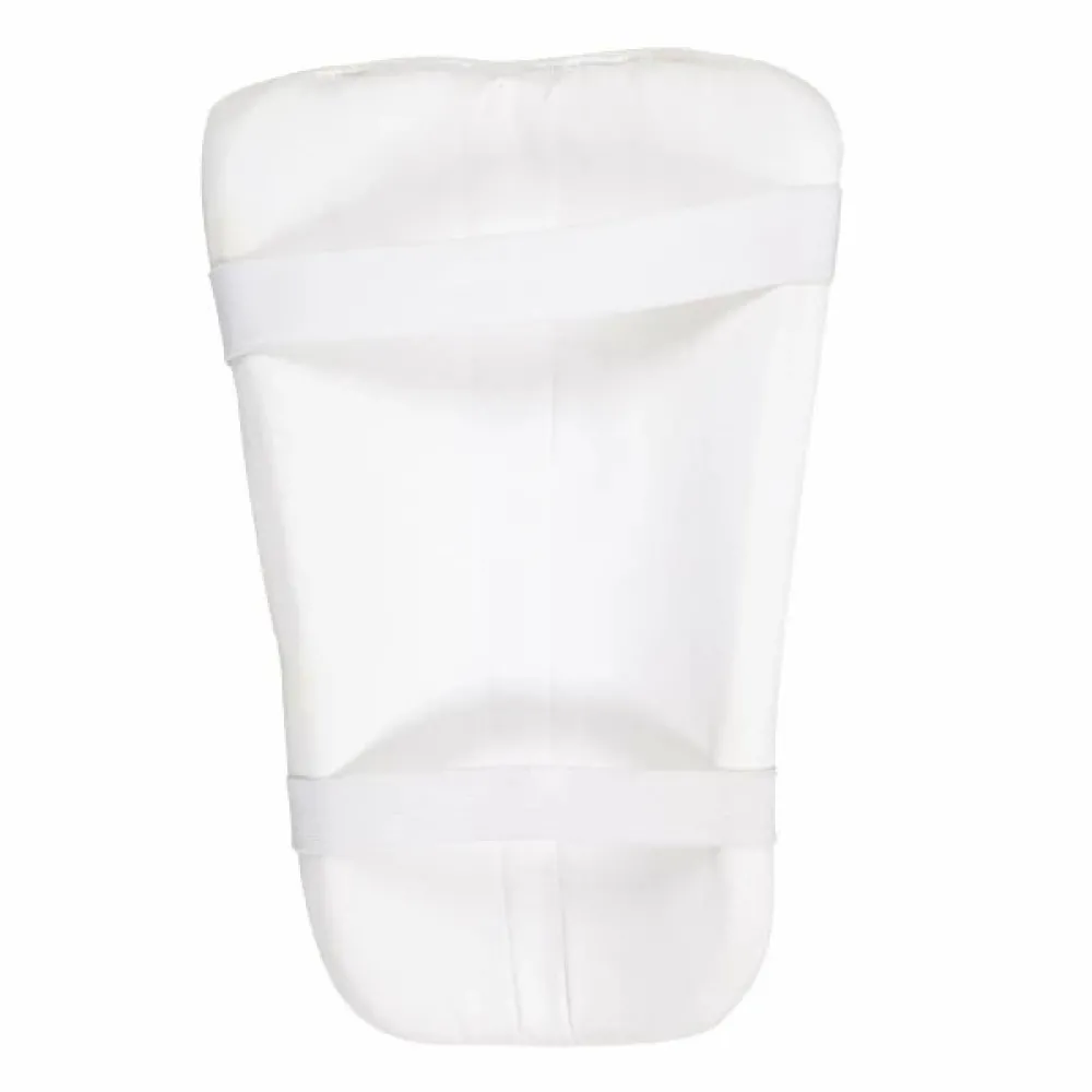 SG Test Cricket Thigh Pad