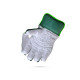 Stanford Club Wicket Keeping Gloves