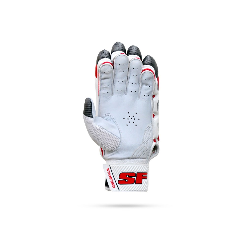 Stanford Test Cricket Batting Gloves Stanford Test Cricket Batting Gloves