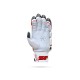 Stanford Test Cricket Batting Gloves Stanford Test Cricket Batting Gloves