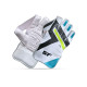 Stanford Hero Wicket Keeping Gloves