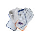 Stanford Triumph Wicket Keeping Gloves