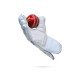 Stanford Limited Edition Wicket Keeping Gloves