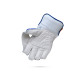 Stanford Triumph Wicket Keeping Gloves