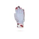 Stanford Match Cricket Batting Gloves Stanford Match Cricket Batting Gloves