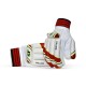 Stanford College Cricket Batting Gloves