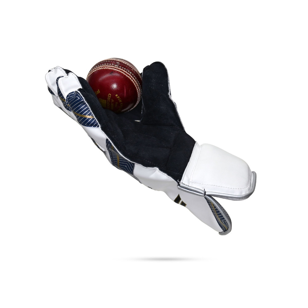 Stanford College Wicket Keeping Gloves
