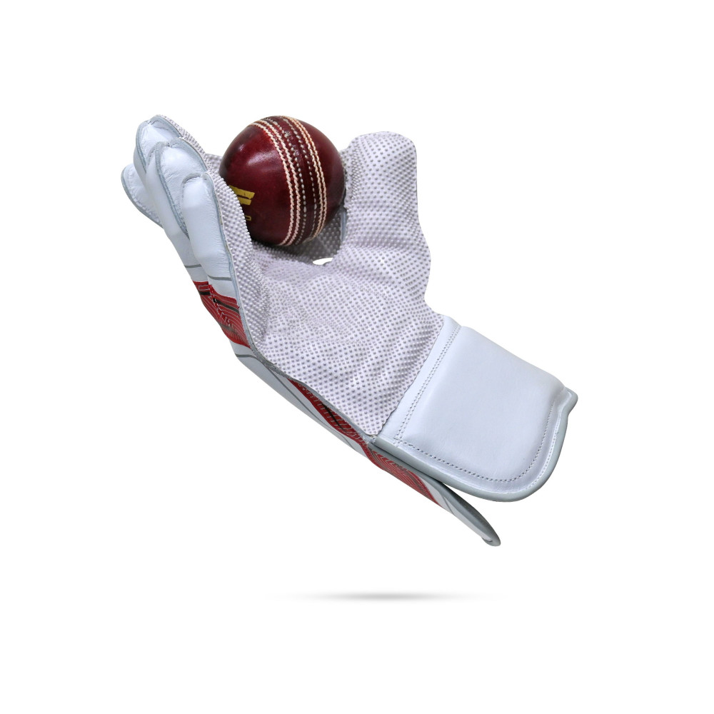 Stanford Classic Pro Wicket Keeping Gloves