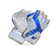 Stanford Platinum Wicket Keeping Gloves