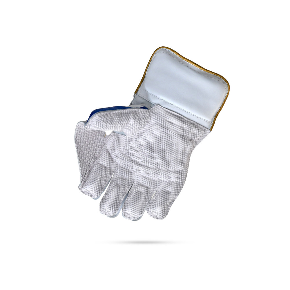 Stanford Platinum Wicket Keeping Gloves