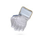 Stanford Platinum Wicket Keeping Gloves