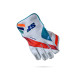 Stanford Power Bow Wicket Keeping Gloves