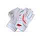 Stanford Test Wicket Keeping Gloves