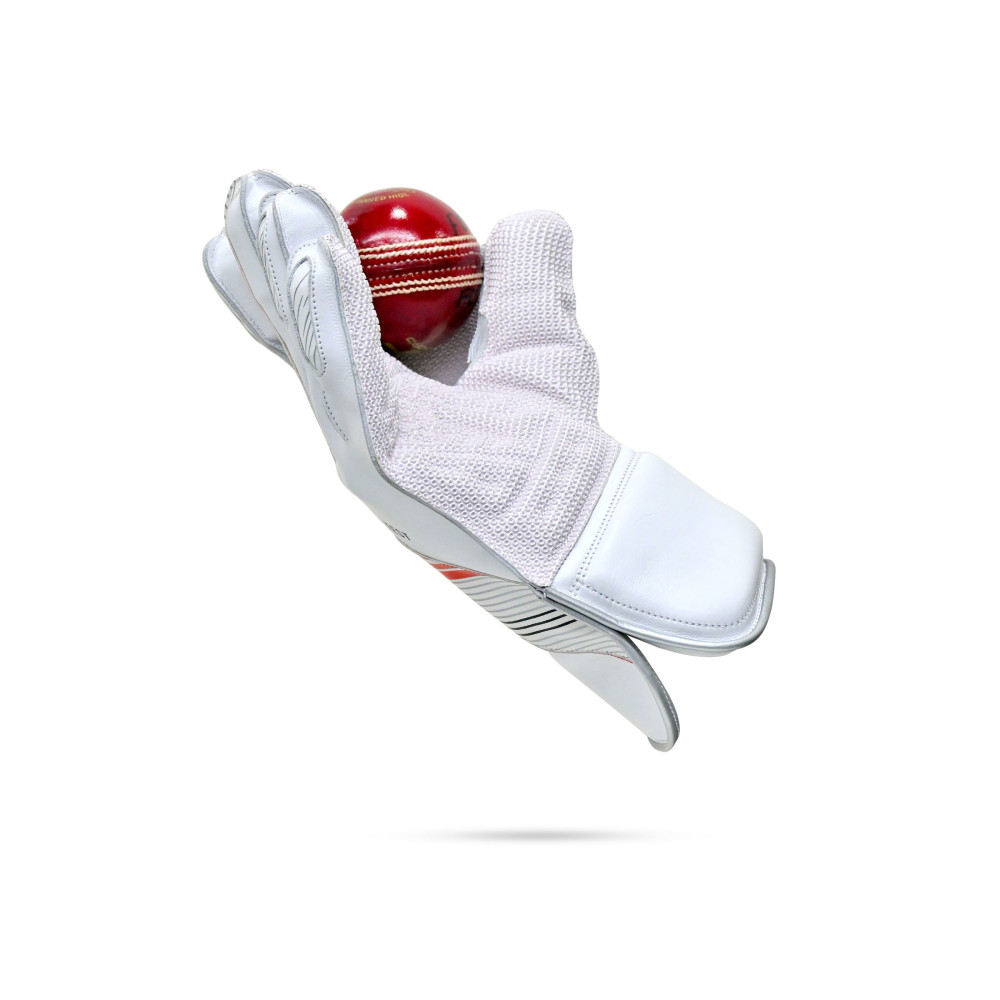 Stanford Test Wicket Keeping Gloves