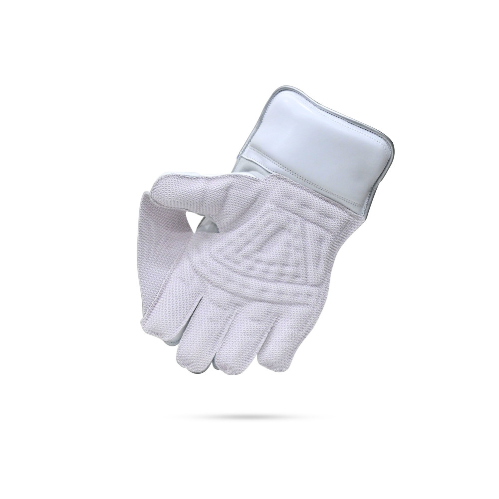 Stanford Test Wicket Keeping Gloves