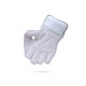 Stanford Test Wicket Keeping Gloves