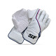 Stanford Blaster Wicket Keeping Gloves