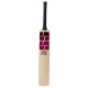 SS Vintage Platinum Kashmir Willow Cricket Bat SS Vintage Platinum Kashmir Willow Cricket Bat