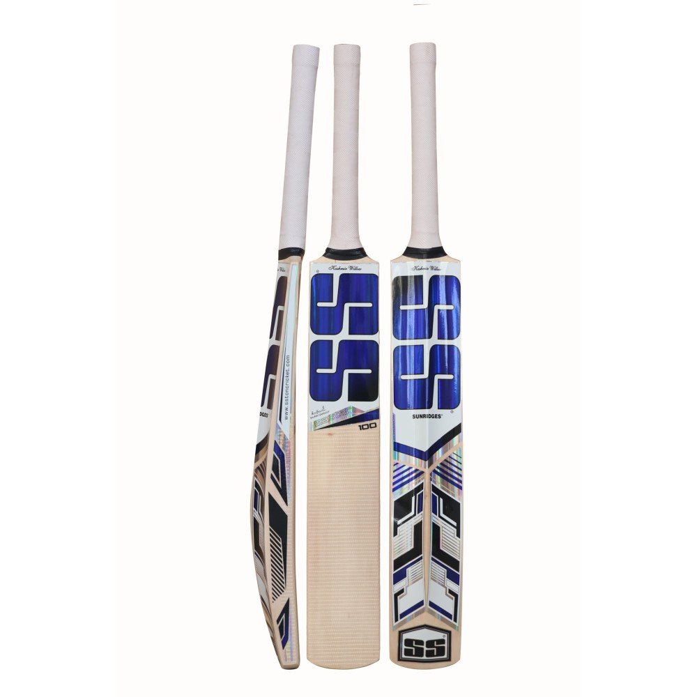 SS Master 100 Kashmir Willow Cricket Bat